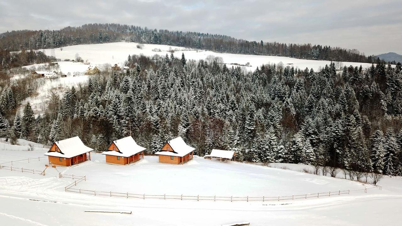 Chatki Niwki U Zboja Krościenko Buitenkant foto