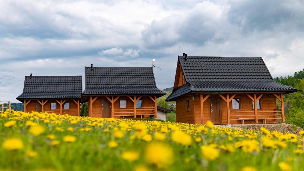 Chatki Niwki U Zboja Krościenko Buitenkant foto